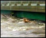 Flooding