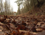 A bike trail in St. Johnsbury