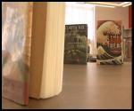 Book Fair Results
