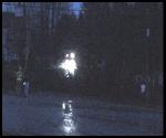 Trees, Power Lines Down in Sheffield