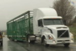 Trucks